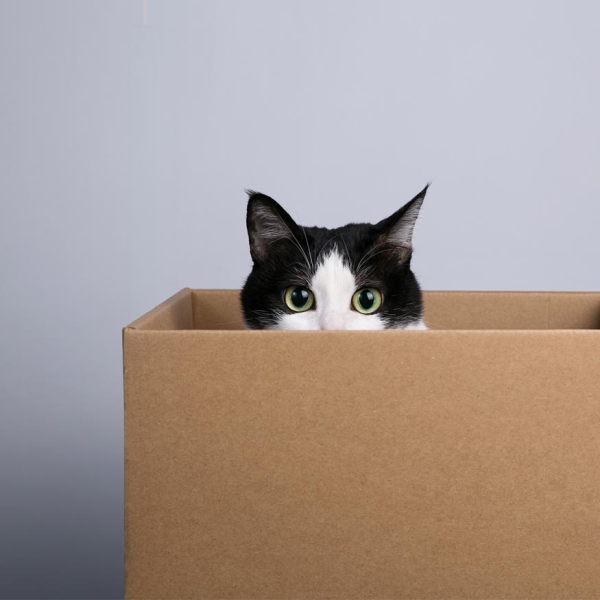 Bien faire ses cartons pour un déménagement