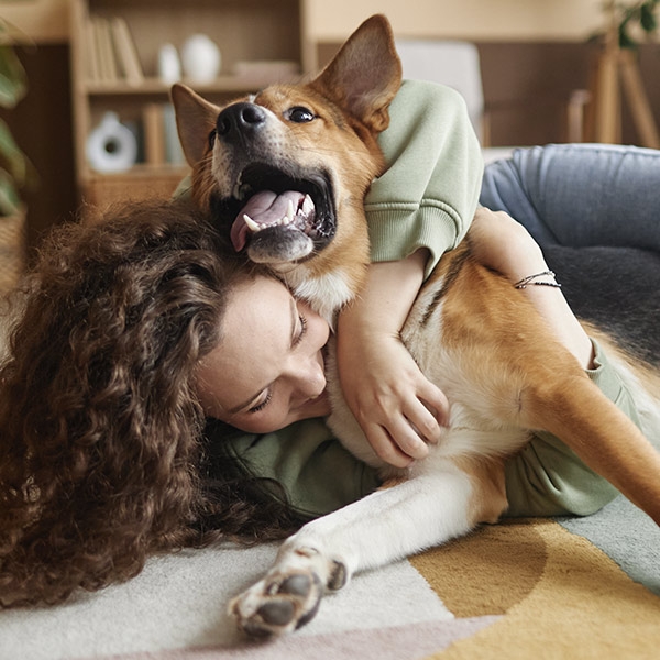 Calin entre un chien et son maitre