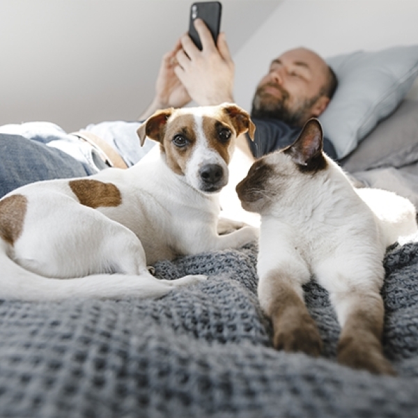 homme allité avec son chien et son chat