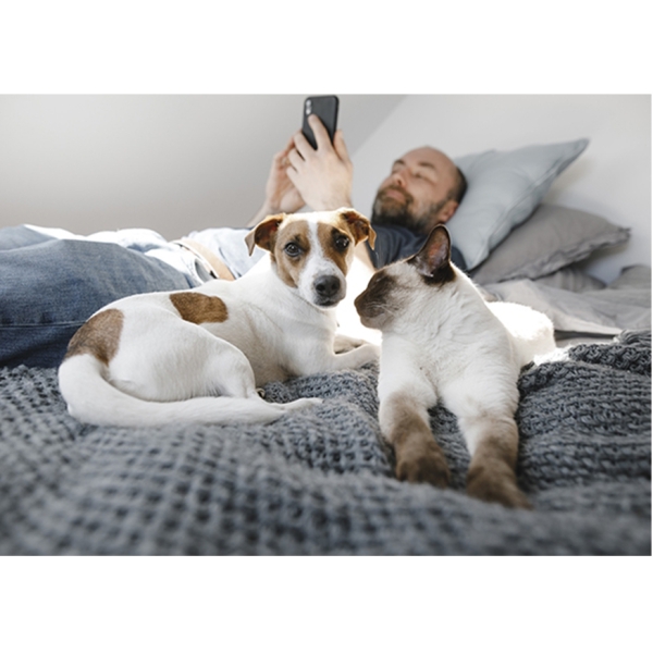 homme allongé avec son chien et son chat près de lui