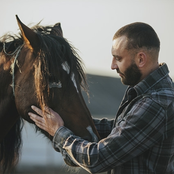 Un homme qui caresse un cheval 