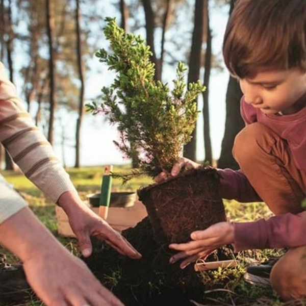 Jeune garçon plantant un arbre en forêt