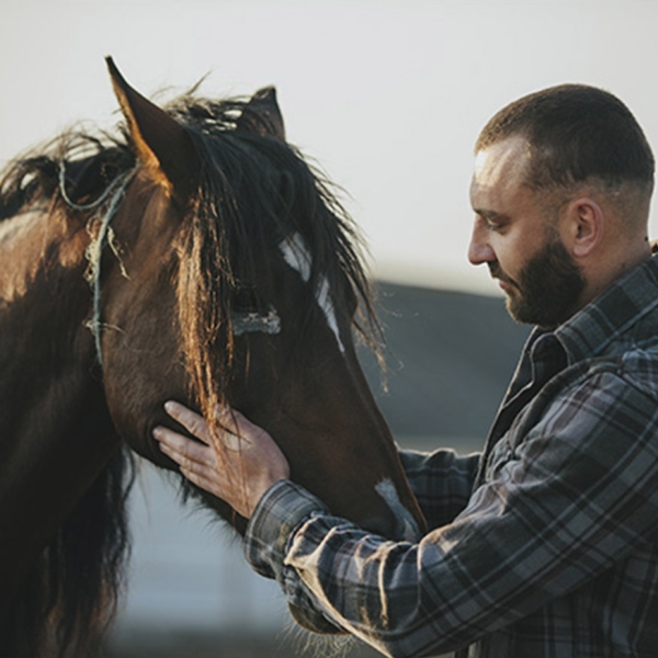 Un cheval avec son propriétaire