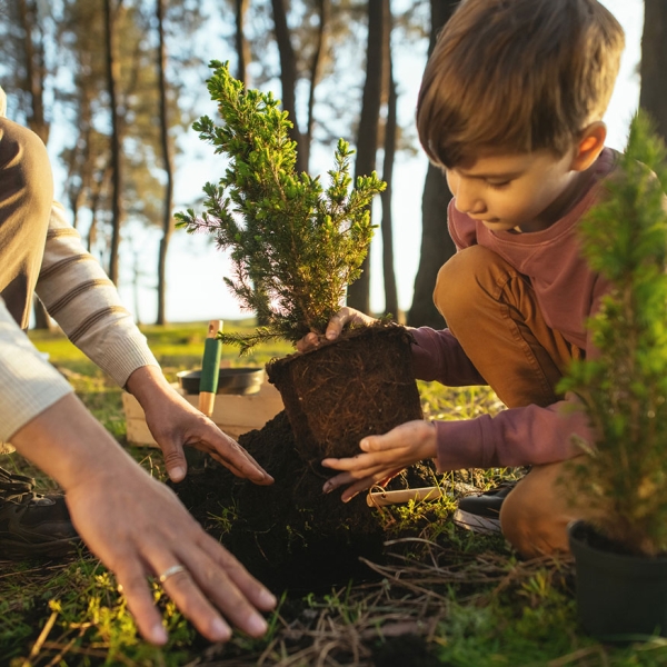 Enfant plantant un arbre avec son père