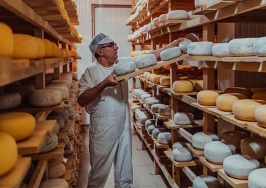 Homme rangeant des fromages dans une cave (article sur le Projet de transition professionnelle)