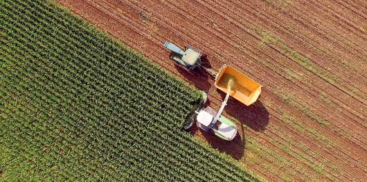 Terrains agricoles avec tracteur