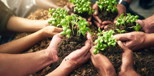 ensemble de mains se réunissants autour de plantes vertes