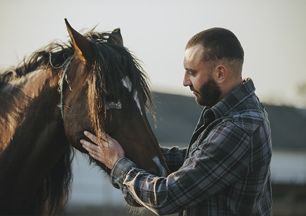 un homme et un cheval assurance cheval