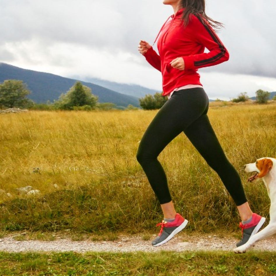 Article - assurance chien et chat - courir avec son chien