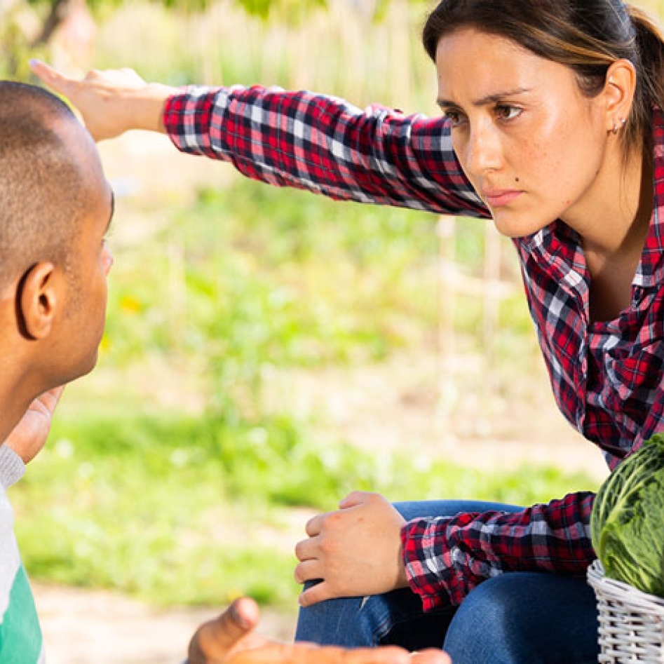 Article - protection juridique - règles bon voisinage