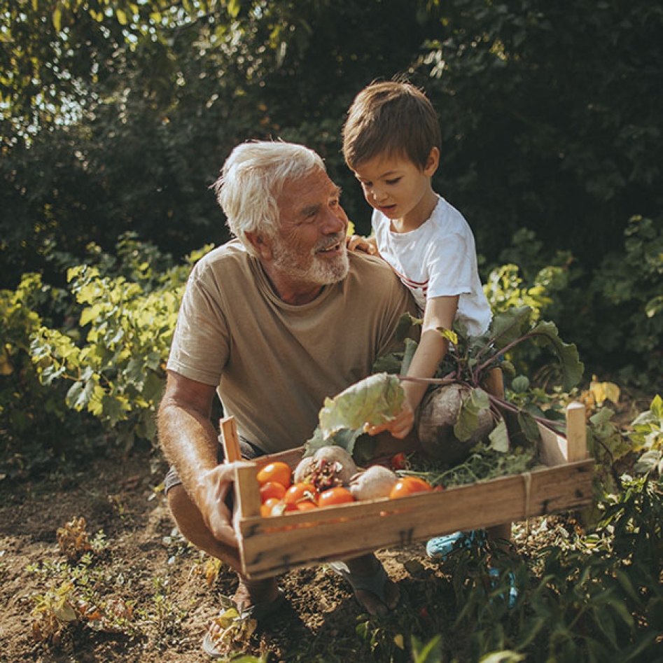 un grand-père et son petit fils dans le jardin