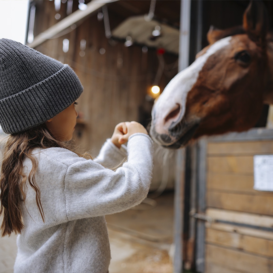 cheval et enfant
